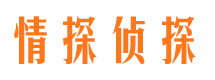 南岸市侦探